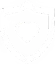 Shield icon